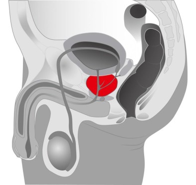 Rotacyjny masażer prostaty wibrator 5 trybów 20cm